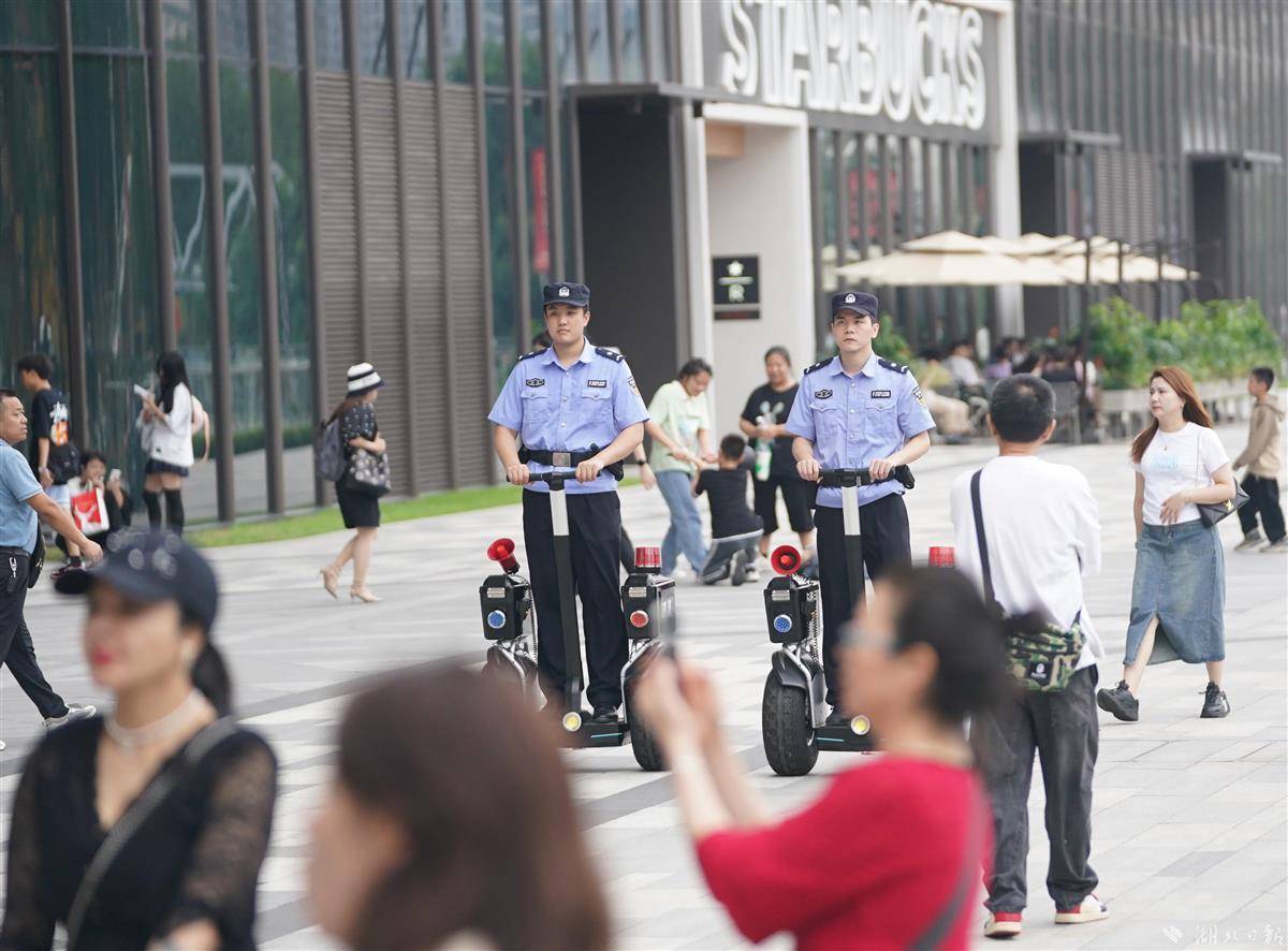 大丰收网址导航